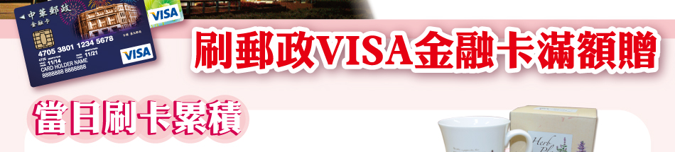 ��l�FVISA���ĥd���B��