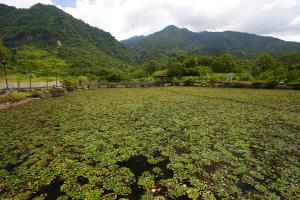羅山遊憩區