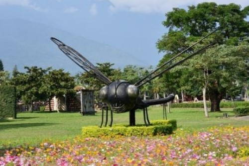 知卡宣森林公園