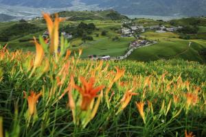 六十石山