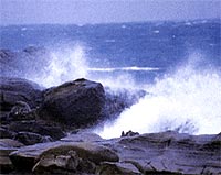澎派的海浪打在黑色的岩石上激起如煙的浪花