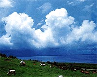 斜度不大的綠草地上可以寮望整個寬廣蔚藍的海水與像棉花般白色雲朵