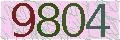 Please enter the image verification code