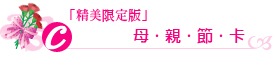 =精美限定版