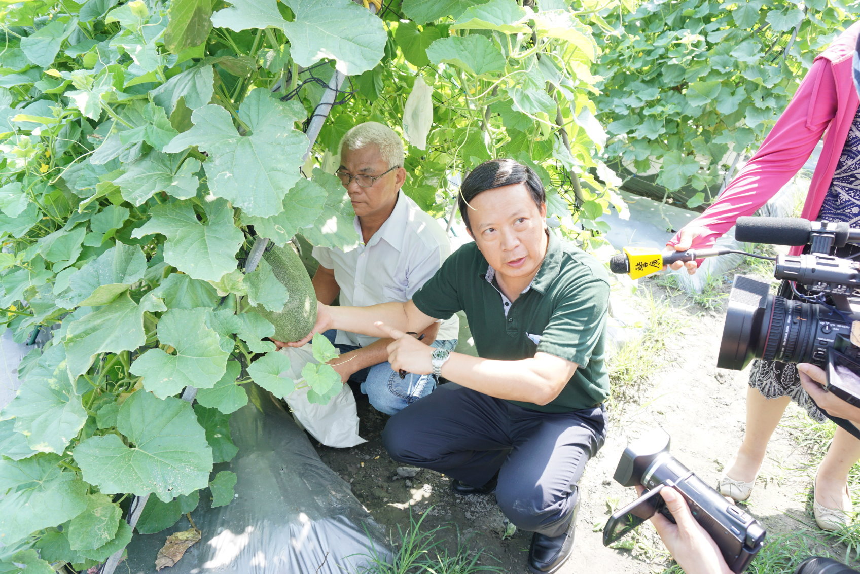 宜蘭郵局關懷小農「嚐甜瓜、 做公益」 