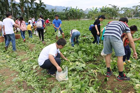 白玉蘿蔔季~美濃田園鐵人三項--郵政壽險80週年路跑活動