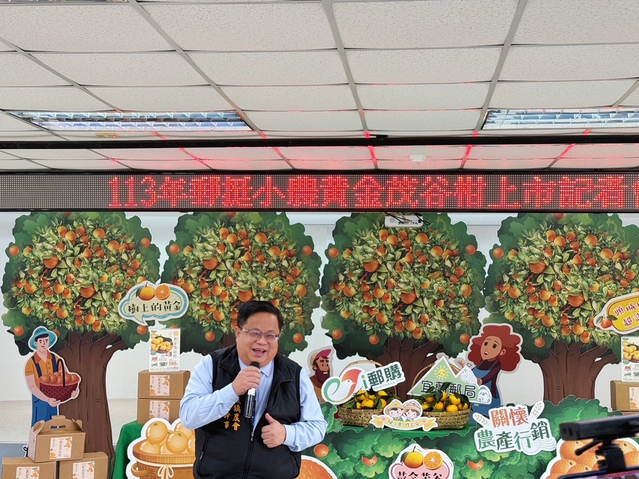 郵挺小農黃金茂谷柑上市