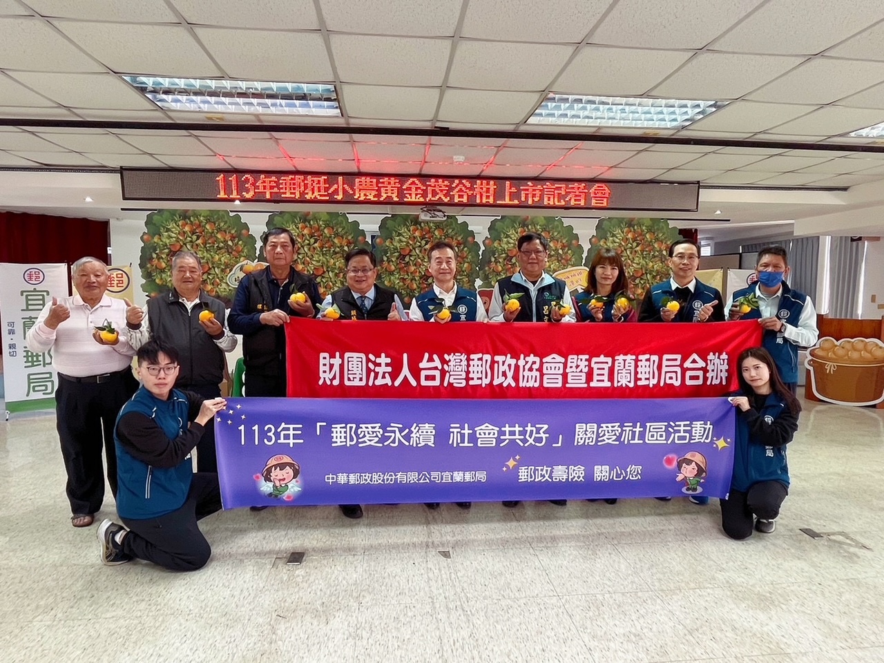 郵挺小農黃金茂谷柑上市