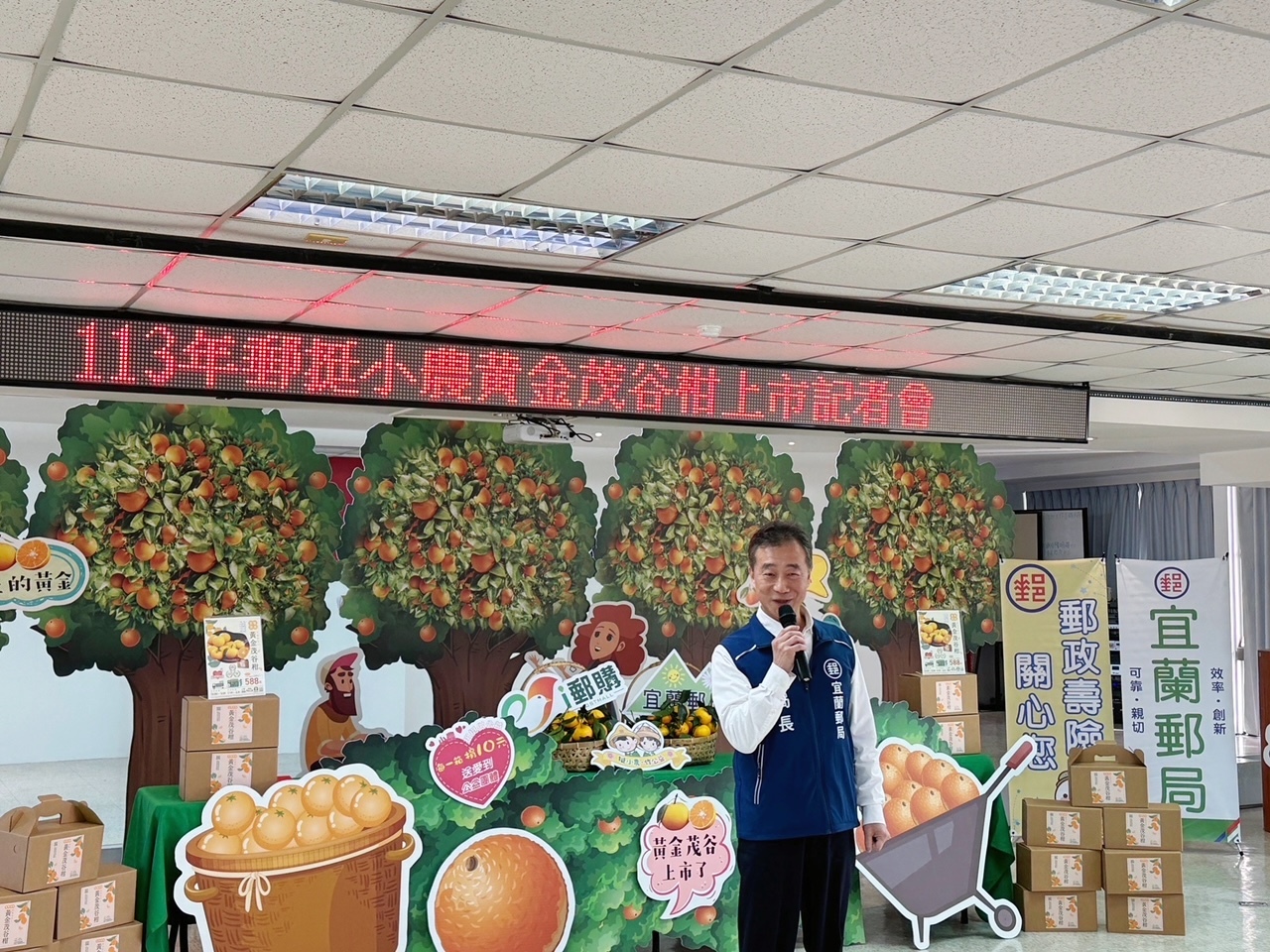 郵挺小農黃金茂谷柑上市