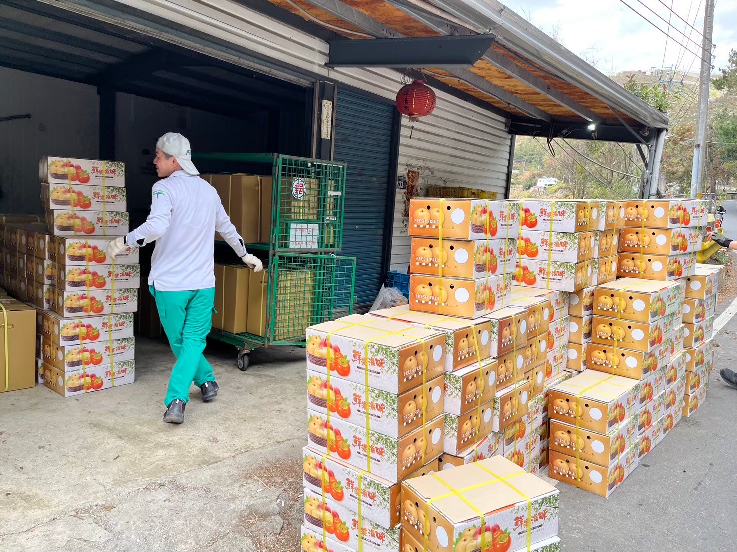 宜蘭郵局服務梨山果農  提供快捷宅配服務