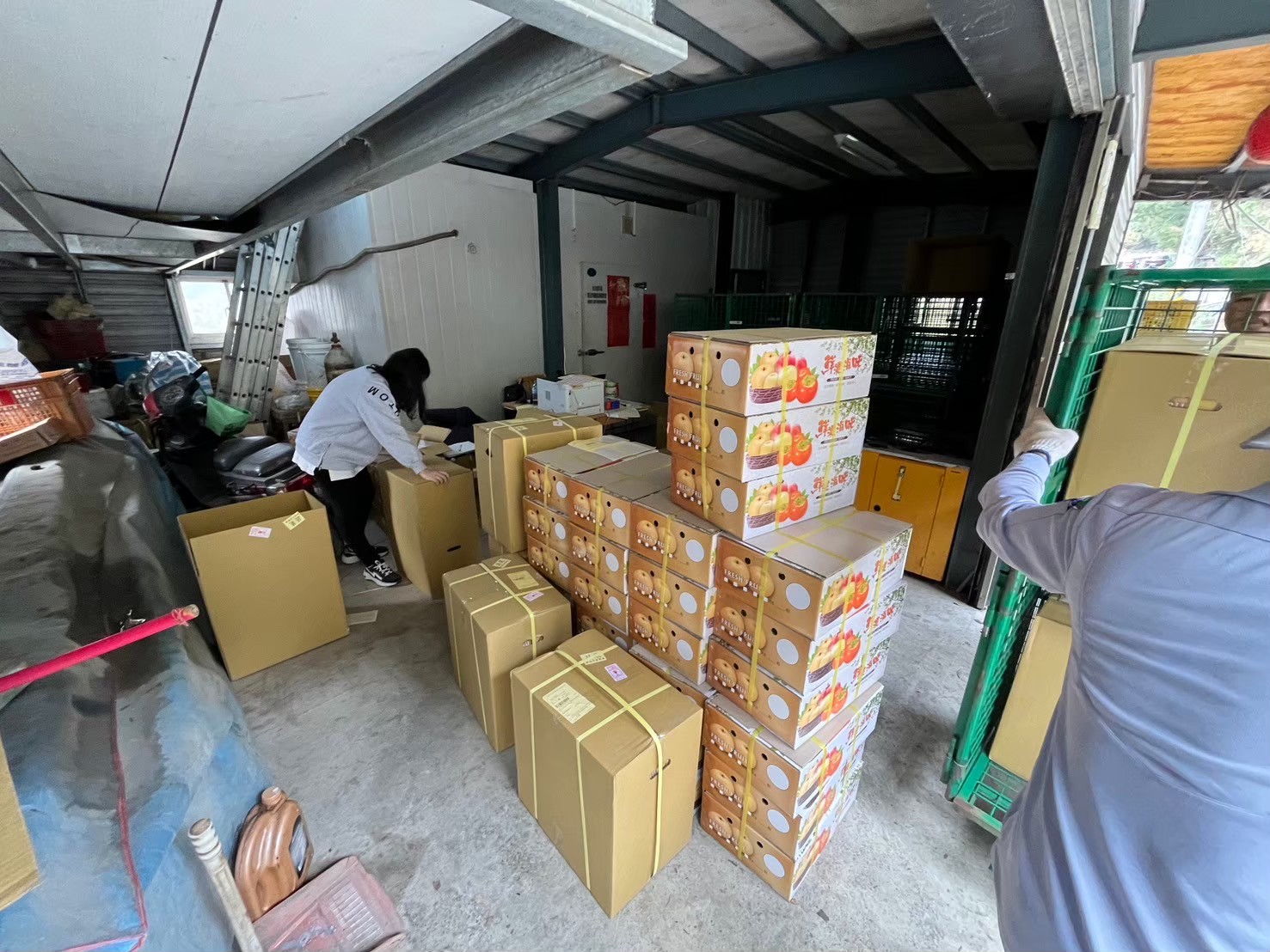 宜蘭郵局服務梨山果農  提供快捷宅配服務