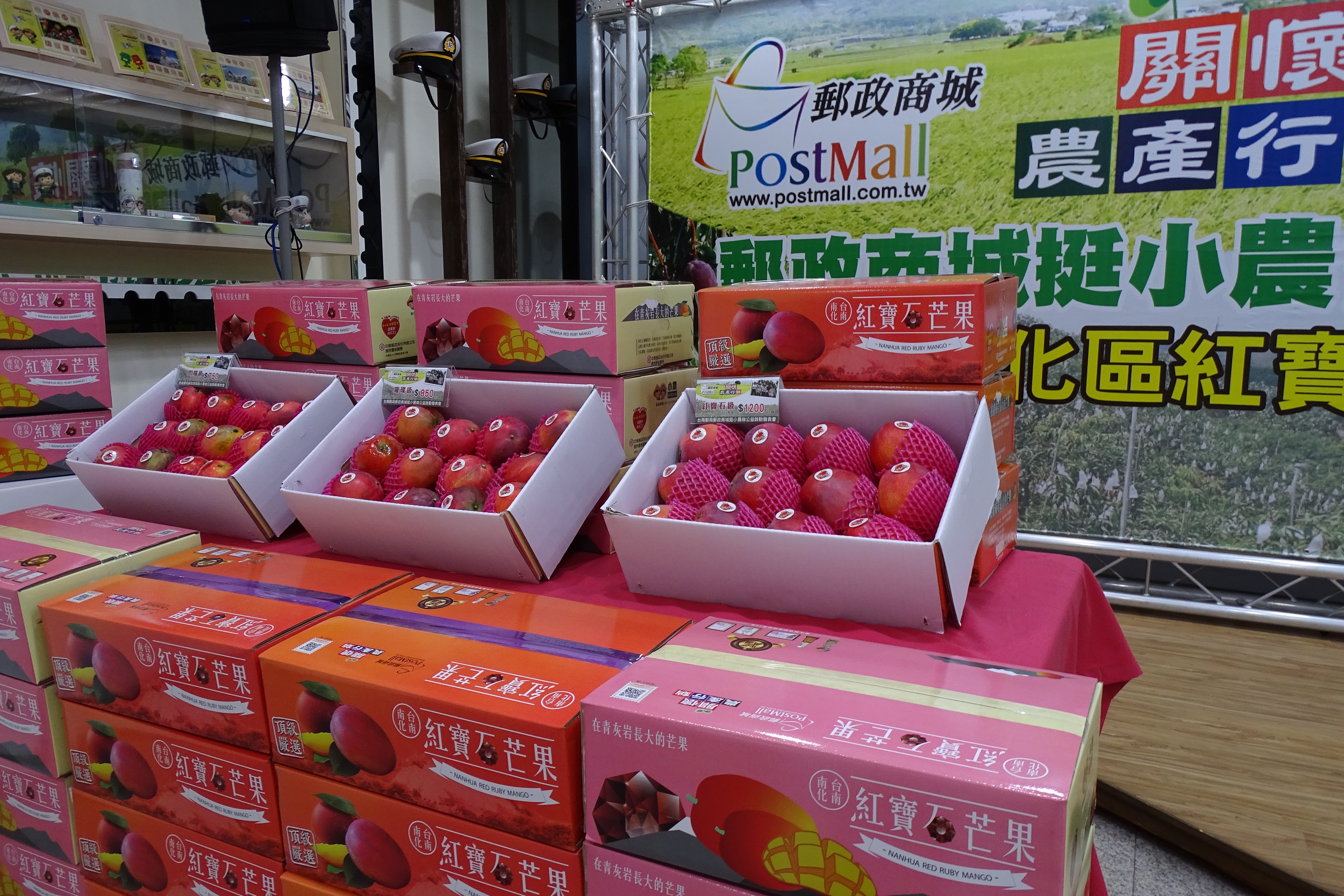 臺南郵局關懷農產行銷挺小農做公益記者會-紅寶石愛文芒果」上市
