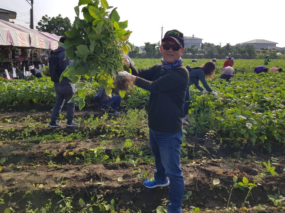 「豆陣毛起來」拔毛豆體驗觀摩活動