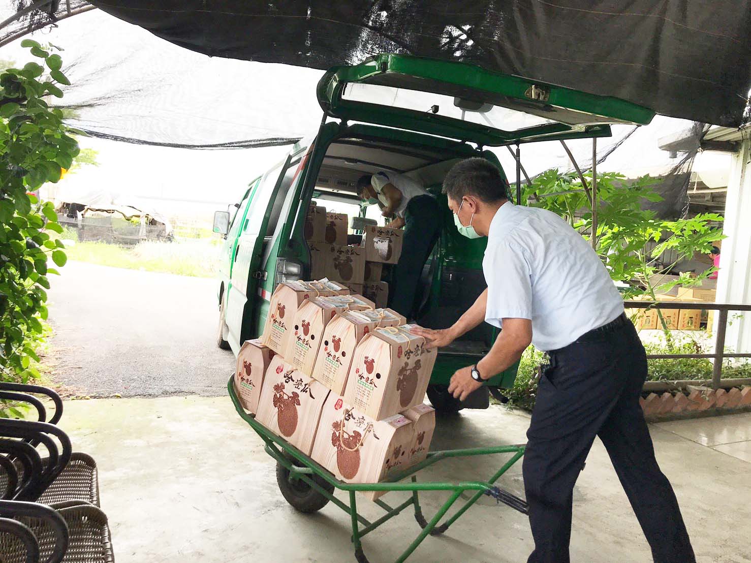 郵挺小農搶救壯圍哈密瓜