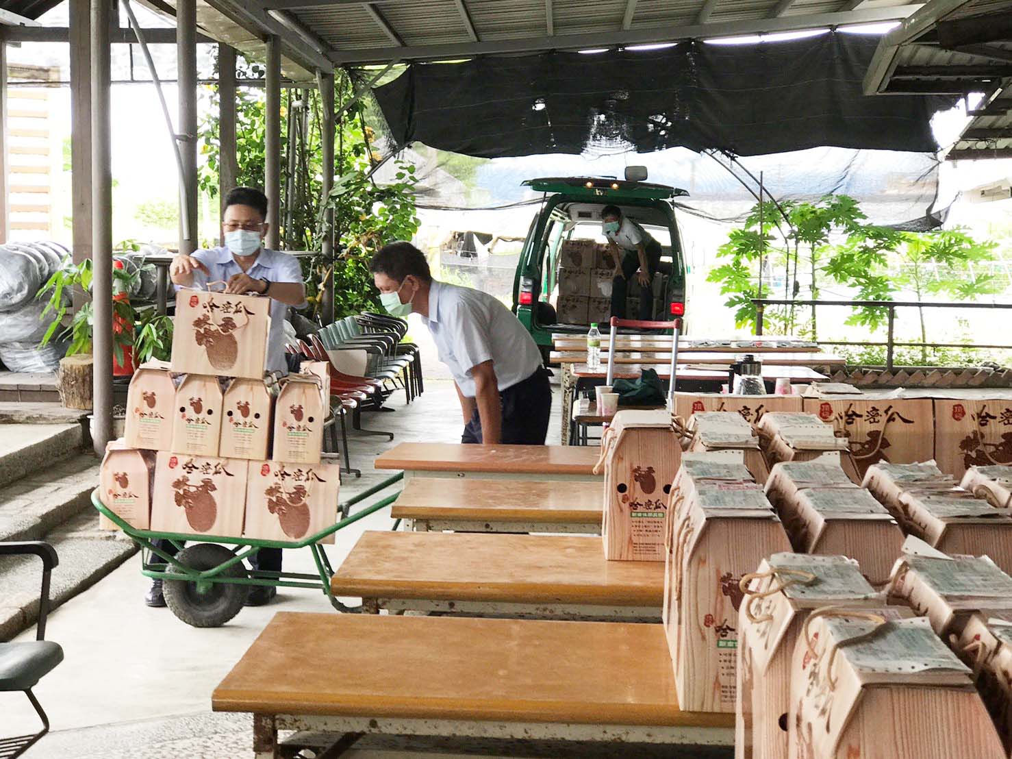 郵挺小農搶救壯圍哈密瓜