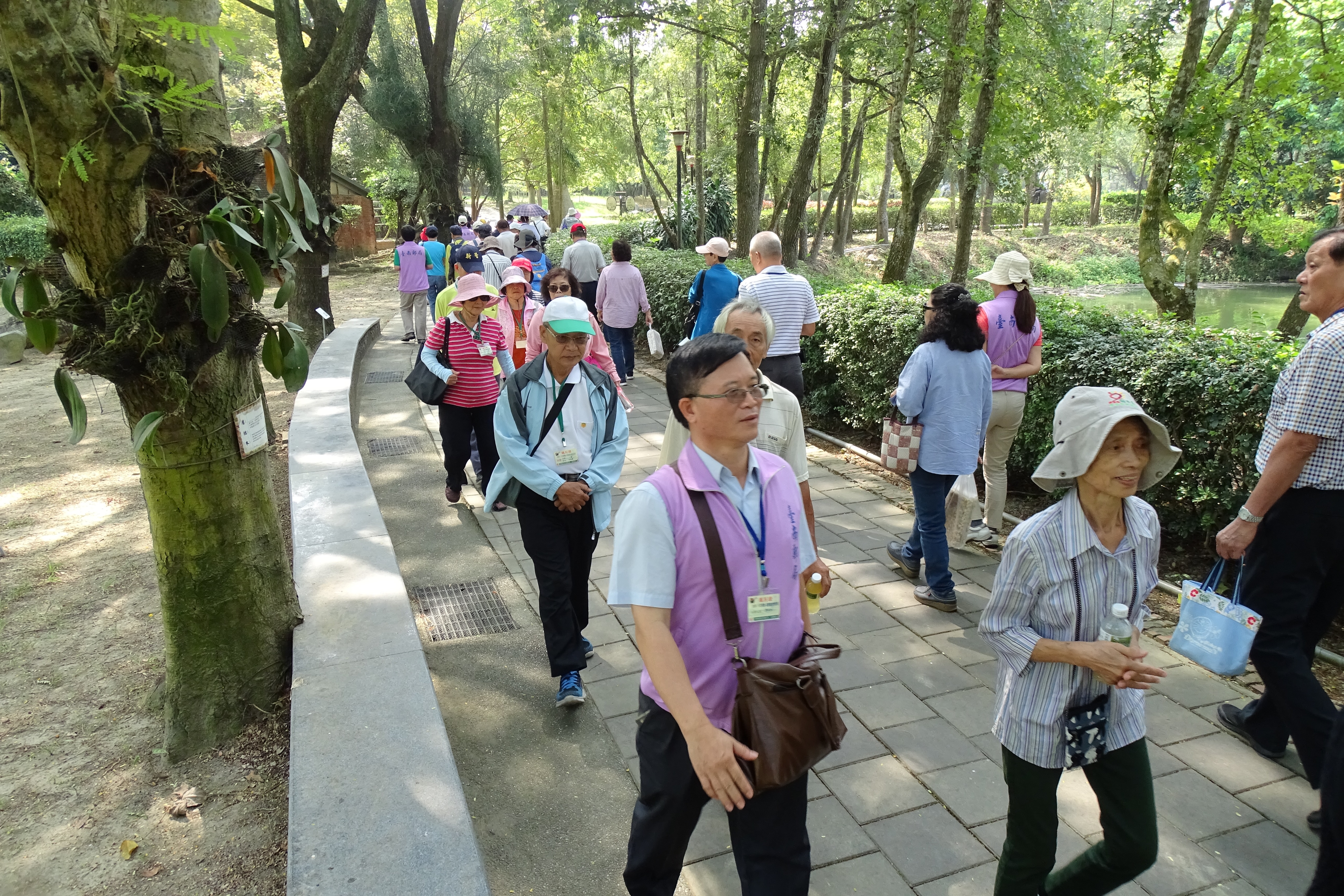 臺南郵局108年「中華郵政不老運動─銀髮踏青樂悠郵」活動