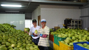 臺南郵局辦理關懷農產行銷公益活動