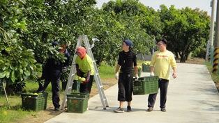 臺南郵局辦理關懷農產行銷公益活動