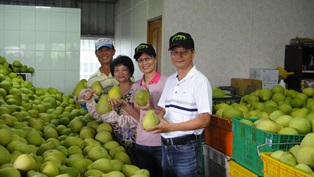 臺南郵局辦理關懷農產行銷公益活動
