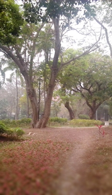 郵差私房景點