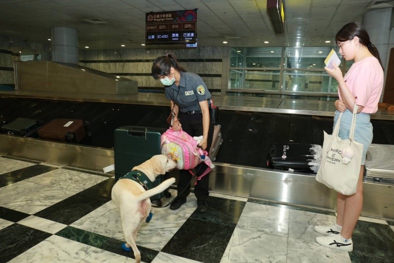 圖說:由花蓮檢疫犬對旅客行李做檢查