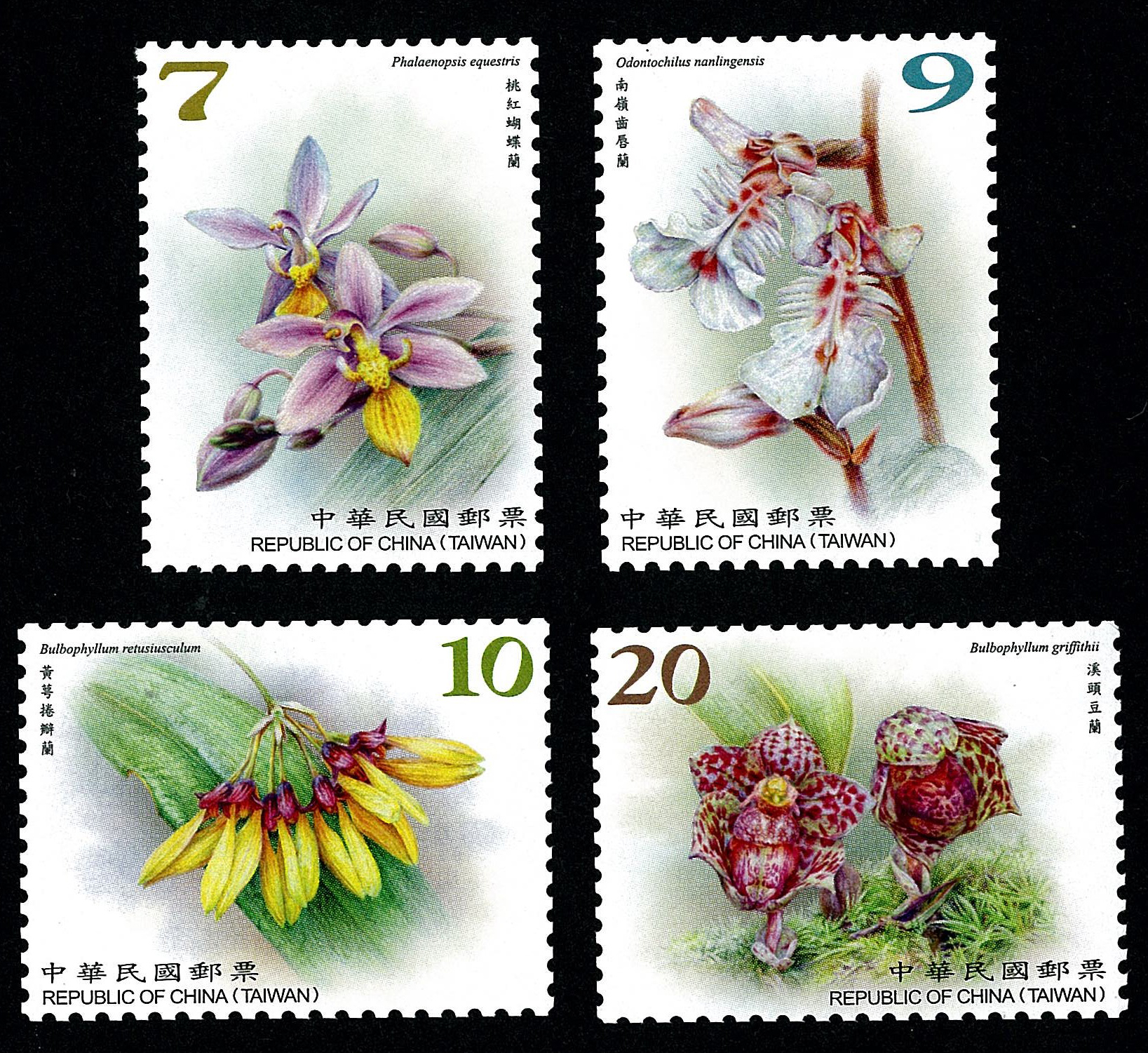 Wild Orchids of Taiwan Postage Stamps (Continued III)