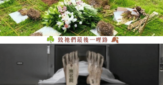 圖片8