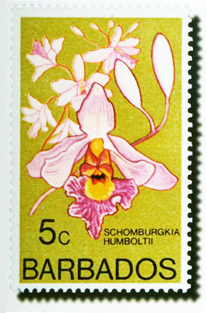 花卉郵票圖3-4