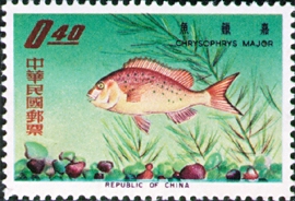 Special 34 Taiwan Fishes Stamps (1965)