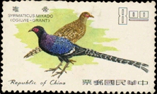 (S49.6)Special 49  Taiwan Birds Stamps (1967)
