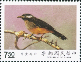 (特282.3 　)特282臺灣鳥類郵票(79年版)
