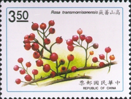 (S290.9)Special 290 Taiwan Plants Postage Stamps