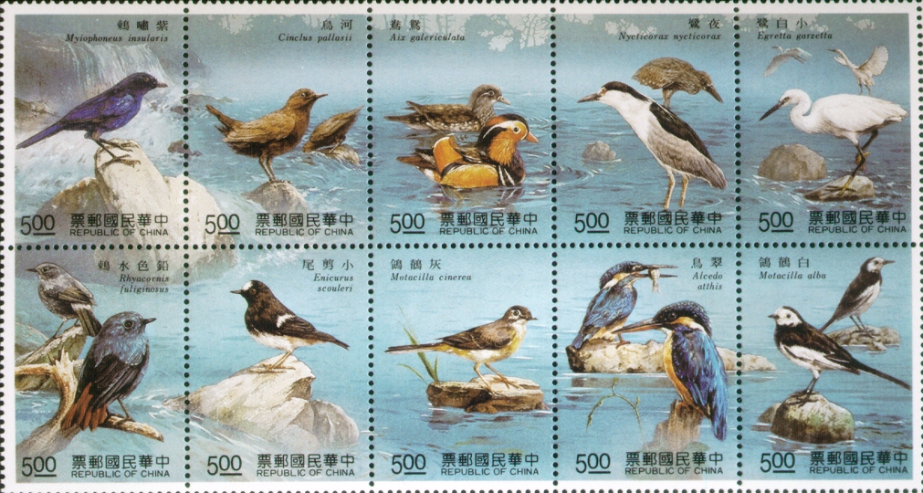 Special 296 Taiwan Stream Birds Postage Stamps