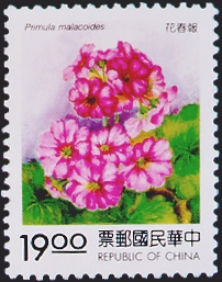 (特331.3)特331花卉郵票─賀歲花