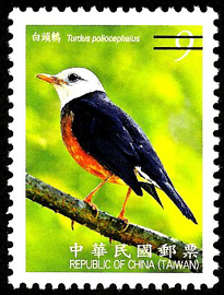 ( 常128.14)常128  臺灣鳥類郵票 (第4輯)