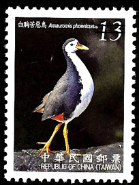 (常128.15)常128  臺灣鳥類郵票 (第4輯)