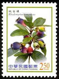 Def.136 Berries Postage Stamps (Continued) stamp pic