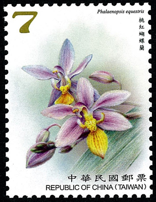 Def.146 Wild Orchids of Taiwan Postage Stamps (Continued III) stamp pic