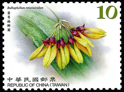(Def.146.11)Def.146 Wild Orchids of Taiwan Postage Stamps (Continued III)