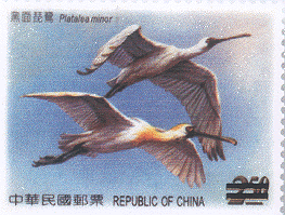 Sp.471 Conservation of Birds Postage Stamps – Black-faced Spoonbill stamp pic