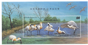 (特471.5) 特471 保育鳥類郵票－黑面琵鷺