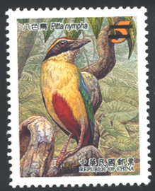 Sp.493  Conservation of Birds Postage Stamps - Fairy Pitta  stamp pic