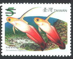 Sp.506 Taiwan Coral-Reef Fish Postage Stamps (Issue of 2007)