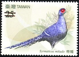 Sp.516 Taiwan Bird – Pheasant – Postage Stamp (Continued) stamp pic