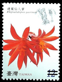 (Sp.518.3)Sp. 518   Flower Postage Stamps - Cactus