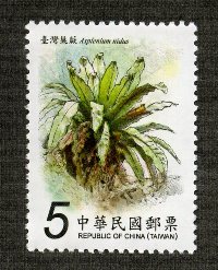 Sp.536 Ferns Postage Stamps stamp pic