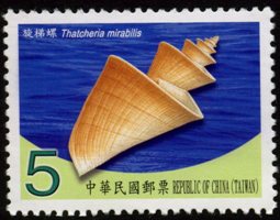 Sp.551 Seashells of Taiwan Postage Stamps (IV)