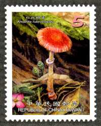 Sp.568 Wild Mushrooms of Taiwan Postage Stamps (II) stamp pic