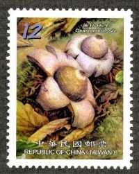 (Sp.568.3)Sp.568 Wild Mushrooms of Taiwan Postage Stamps (II)