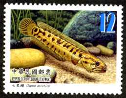 (特569.3)特569 臺灣魚類郵票（第2輯）